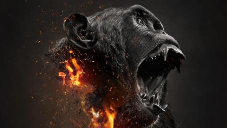 Gorilla wallpaper