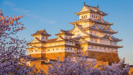 Himeji Castle Cherry Blossom Spot wallpaper
