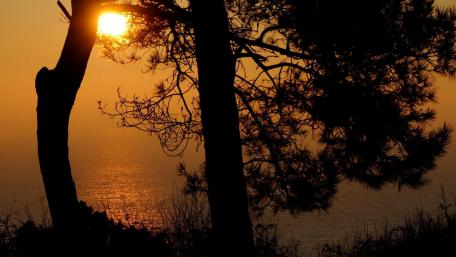 Golden Sunset Silhouette over Calm Lake wallpaper