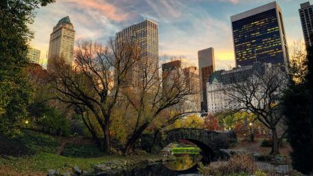 Central Park wallpaper
