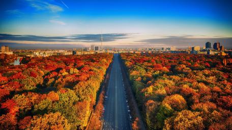 Tiergarten at fall wallpaper