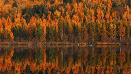 Autumn Serenity Reflecting on Water wallpaper