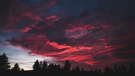 Fiery Dusk Over Forest Silhouette wallpaper