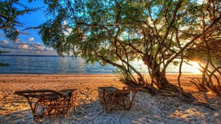 Sunbeds in a paradise beach wallpaper
