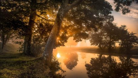 Morning sunshine wallpaper