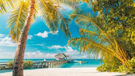 Tropical vacation in Maldives wallpaper