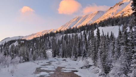 Serenity of a Winter Morning in the Wilderness wallpaper