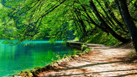 Plitvice Lakes National Park, Croatia wallpaper