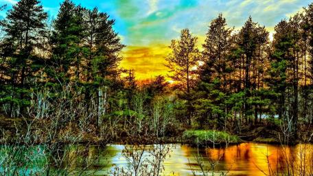 Serene Sunset Over Forest Reflections in Water wallpaper