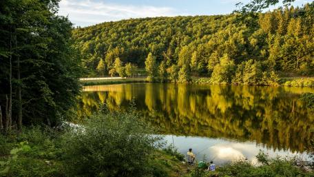 Tranquil Lake Reflections Amidst Lush Forests wallpaper