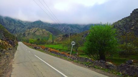 Serene Mountain Road in Nature’s Embrace wallpaper