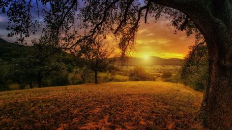 Morning landscape wallpaper