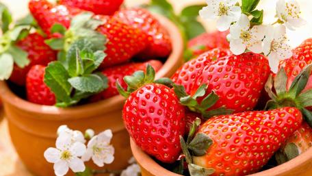 Strawberries and flowers wallpaper