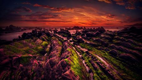 The Hovs Hallar coastline at sunset wallpaper