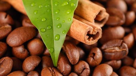 Coffee Beans and Aromatic Spices wallpaper