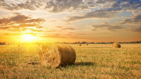 Hay bales wallpaper