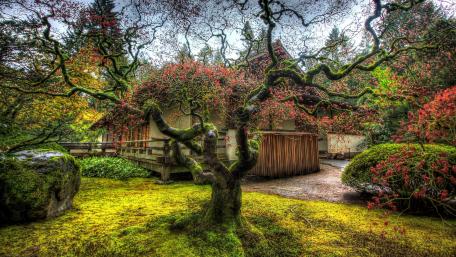 Portland Japanese Garden wallpaper