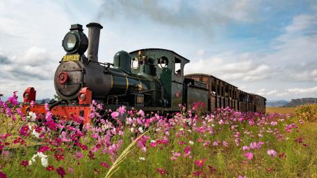 Steam locomotive in a spring field wallpaper