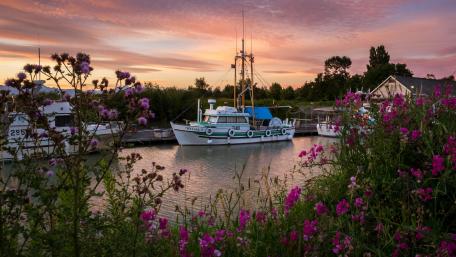 Steveston Marina wallpaper