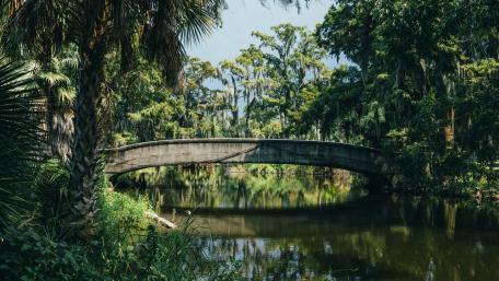 City Park in New Orleans wallpaper