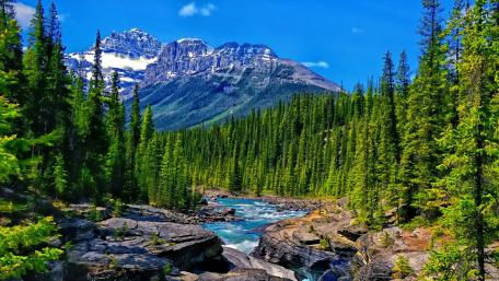 Mistaya River (Banff National Park, Alberta) wallpaper