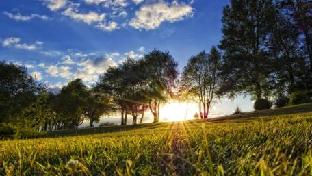 Sundown in the meadow wallpaper