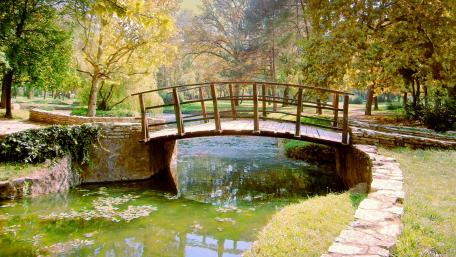 Serene Bridge Over Tranquil Pond in a Garden Park wallpaper