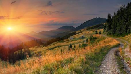 Sunlight trail wallpaper