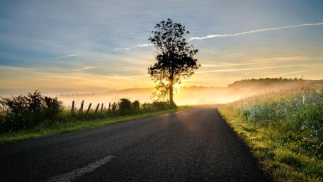Lonesome tree along the road wallpaper