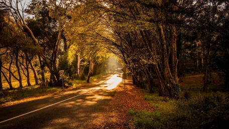 Road in the sunlight wallpaper