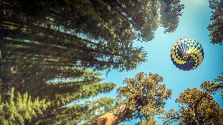 Hot Air Balloon - Worm's eye view photography wallpaper