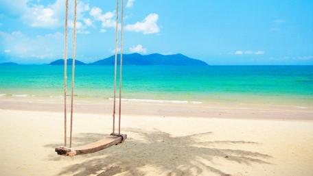 Swinging Serenity on a Sandy Beach wallpaper