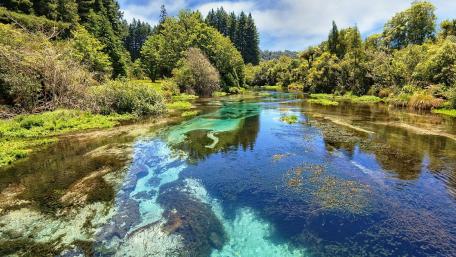 Hamurana Spring wallpaper