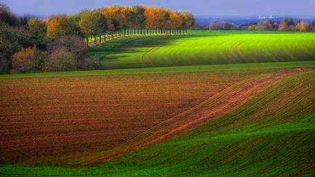 Vibrant Rolling Hills in Autumn Light wallpaper