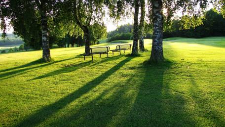 Benches in a Sunlit Morning Park wallpaper