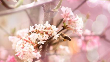Capture the moment photography wallpaper