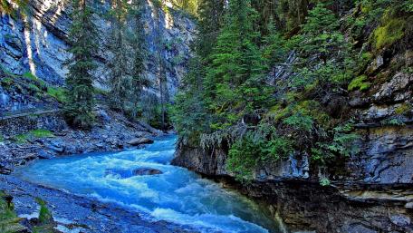 Lush Canyon Stream Amidst Nature's Majesty wallpaper