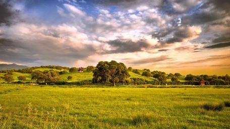 Serene Countryside at Dusk wallpaper