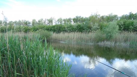 Tranquil Fishing Spot in Nature's Embrace wallpaper