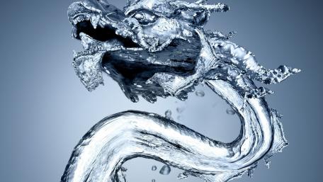 Water dragon wallpaper