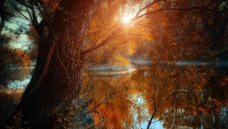 Autumn Serenity in Nature's Embrace wallpaper