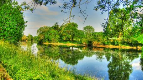 Serene River Reflection Amidst Lush Greenery wallpaper