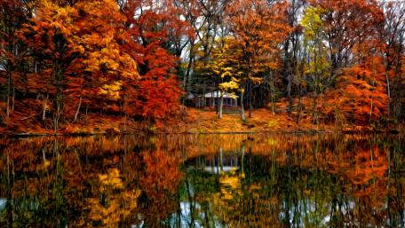 Villa in the fall forest wallpaper