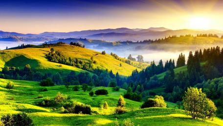 Serene Morning Light Over Rolling Hills wallpaper