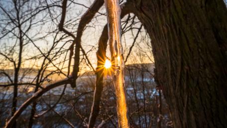 Sunset & icicle wallpaper