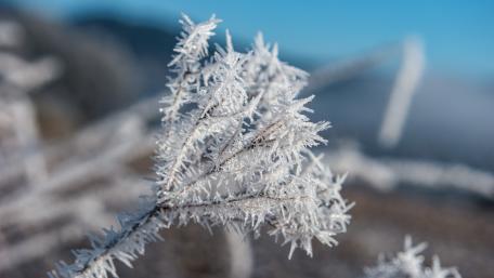 Freezing wallpaper