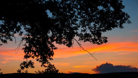 Serene Sunset Silhouette Over Tranquil Dusk Sky wallpaper