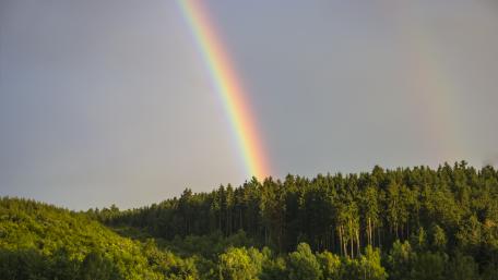 Rainbow wallpaper