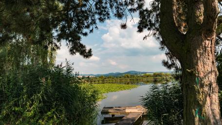 Serene Lakeside Escape in 5K UHD wallpaper