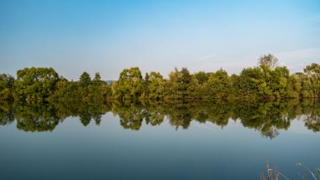 Tranquil Reflection in Serene Waters wallpaper